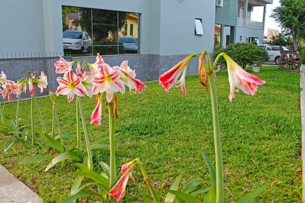 jardim1.jpg
