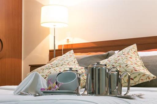 hotel minas tower.jpg