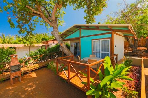 whatsapp image 2020-07-09 at 12.31.20 (1).jpeg