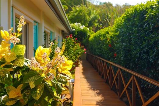 whatsapp image 2020-08-19 at 14.39.36 (2).jpeg