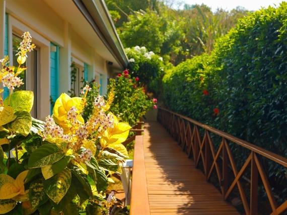 whatsapp image 2020-08-19 at 14.39.36 (2).jpeg