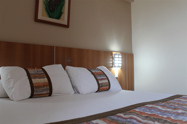 Foto 1 do Hotel Mato Grosso Palace