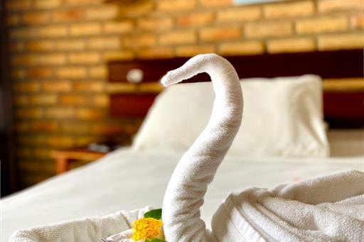 whatsapp image 2021-01-29 at 17.47.45.jpeg