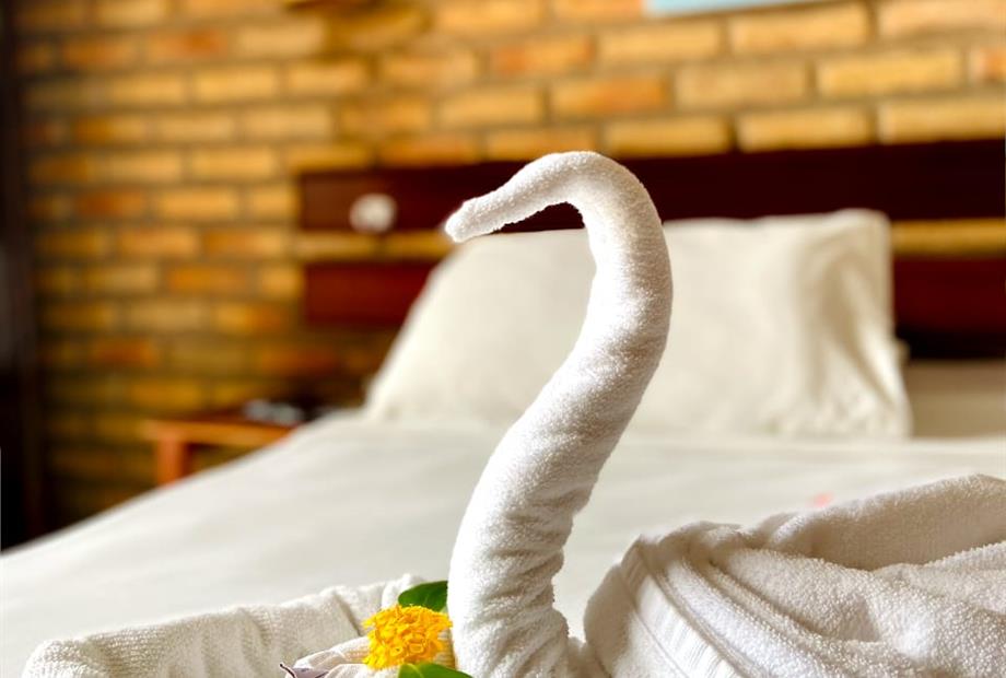 whatsapp image 2021-01-29 at 17.47.45.jpeg