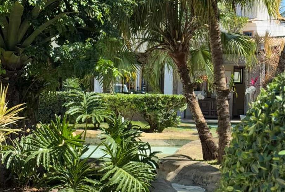 whatsapp image 2025-01-30 at 10.32.26 (1).jpeg