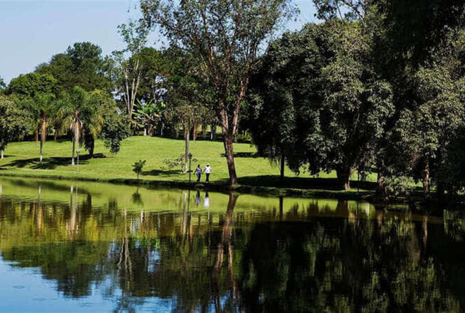 _mg_9324 copy final.jpg