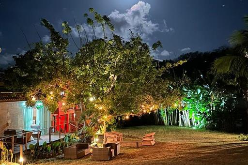 whatsapp image 2022-11-09 at 09.33.43.jpeg