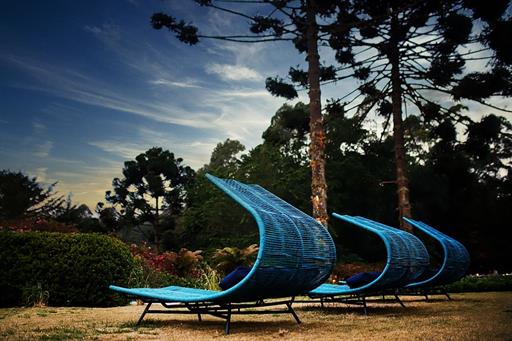 whatsapp image 2022-01-28 at 16.50.37.jpeg