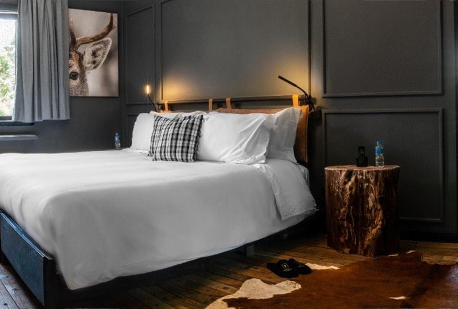 whatsapp image 2022-01-28 at 16.59.49 (1).jpeg