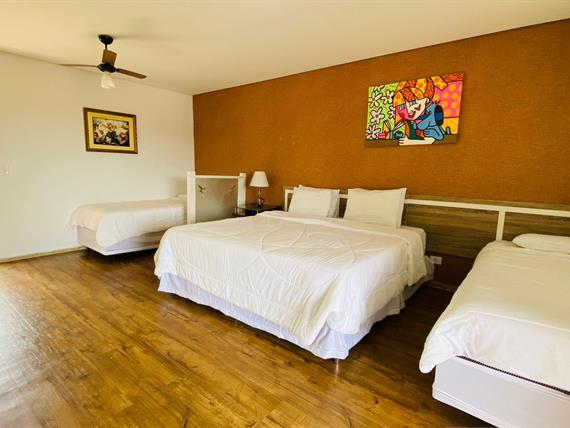 ap superior 142 - 3.jpeg