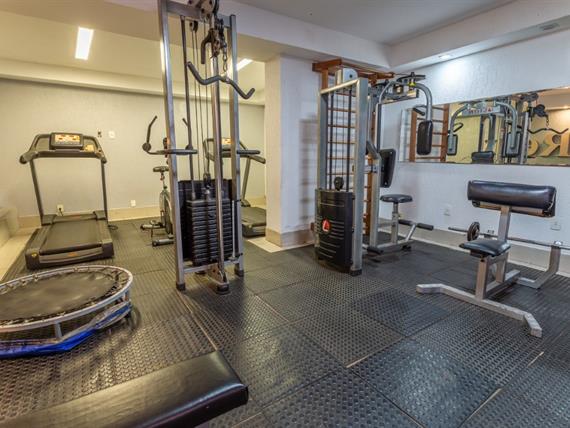 premium (40) (médio).jpg