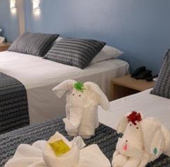 whatsapp image 2023-08-23 at 16.45.29 (2).jpeg