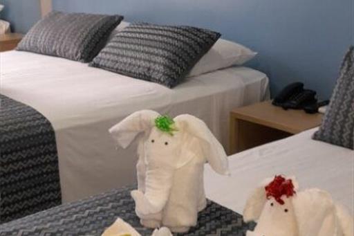 whatsapp image 2023-08-23 at 16.45.29 (2).jpeg