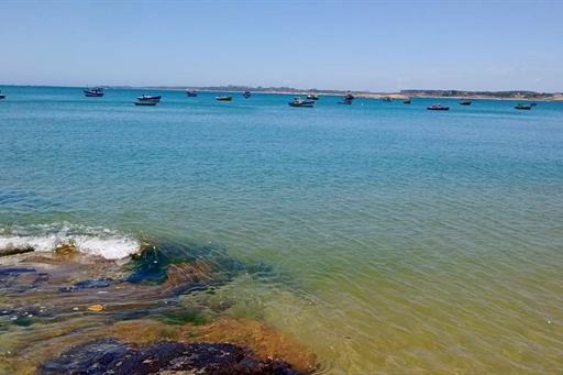 whatsapp image 2021-04-16 at 17.41.53.jpeg