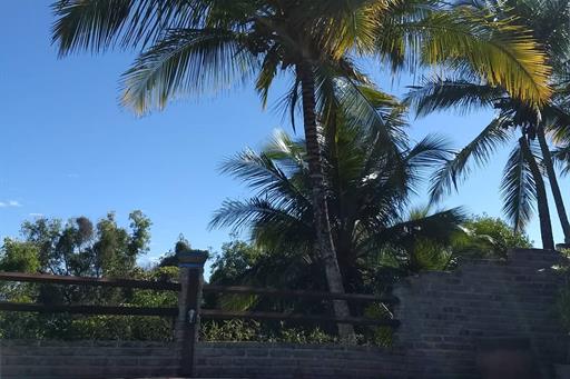 whatsapp image 2021-04-16 at 17.41.58.jpeg