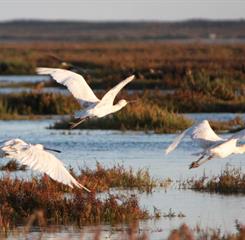 Vale do Garrão Villas Gallery.031.jpg