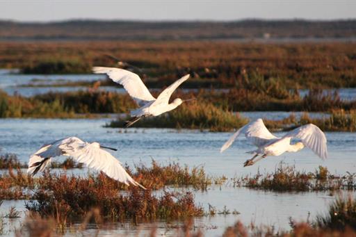Vale do Garrão Villas Gallery.031.jpg