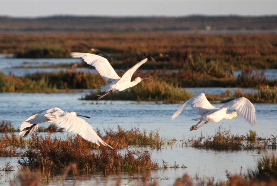 Vale do Garrão Villas Gallery.031.jpg