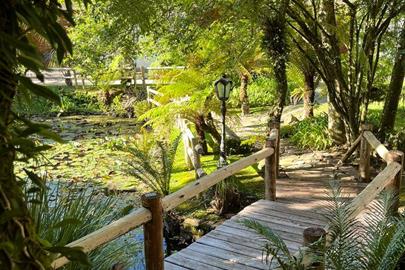 whatsapp image 2022-12-10 at 17.53.56.jpeg