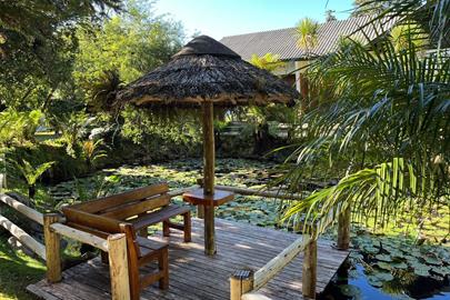 whatsapp image 2022-12-10 at 17.53.57.jpeg