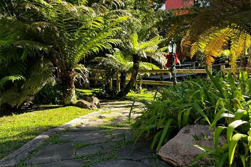 whatsapp image 2022-12-10 at 17.53.58.jpeg