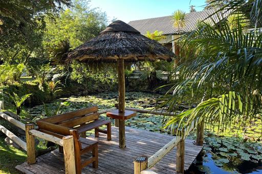 whatsapp image 2022-12-10 at 17.53.57.jpeg