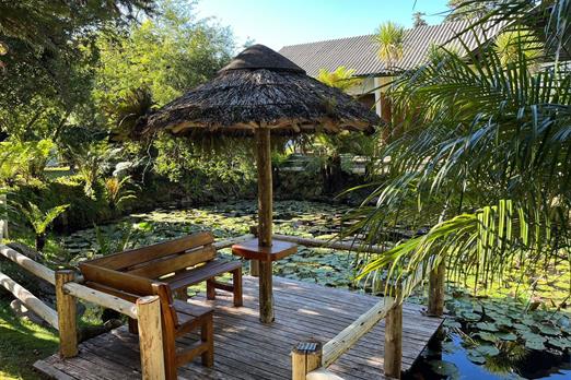 whatsapp image 2022-12-10 at 17.53.57.jpeg