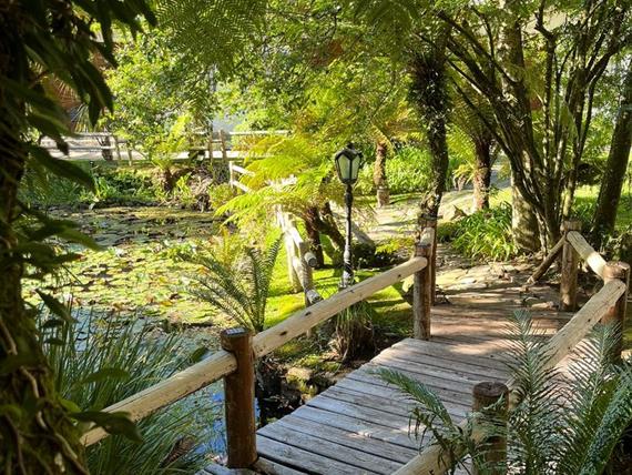 whatsapp image 2022-12-10 at 17.53.56.jpeg