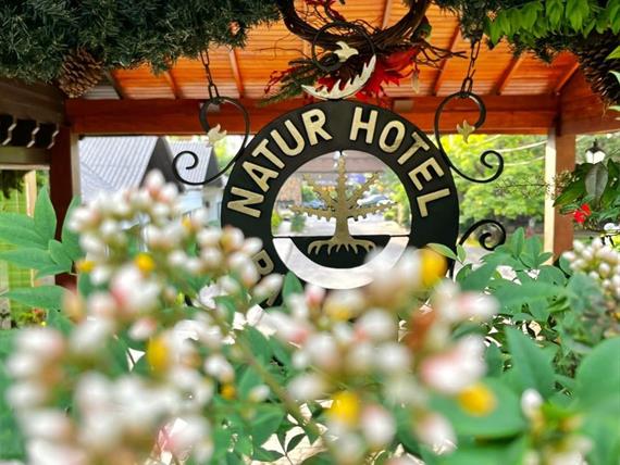 whatsapp image 2022-12-10 at 17.49.10.jpeg