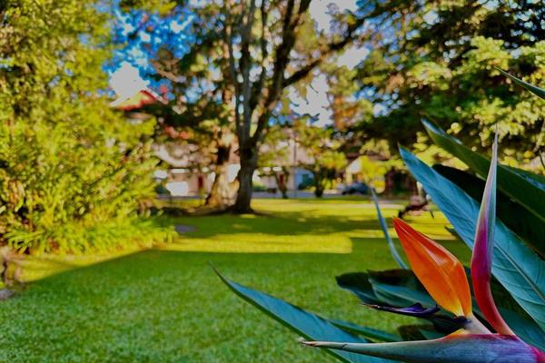 Foto 41 de Natur Hotel