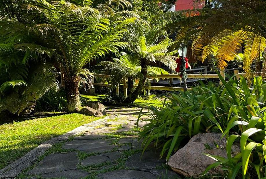 whatsapp image 2022-12-10 at 17.53.58.jpeg