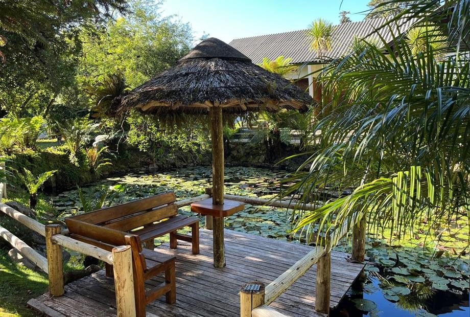 whatsapp image 2022-12-10 at 17.53.57.jpeg