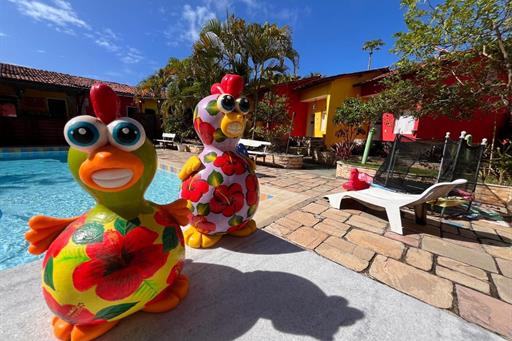 whatsapp image 2024-08-06 at 11.21.58 (1).jpeg