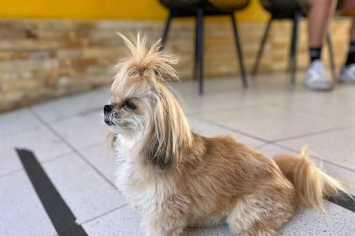 whatsapp image 2025-02-01 at 10.26.42 (2).jpeg