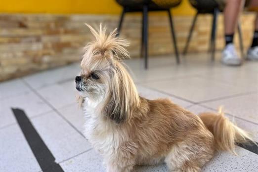 whatsapp image 2025-02-01 at 10.26.42 (2).jpeg