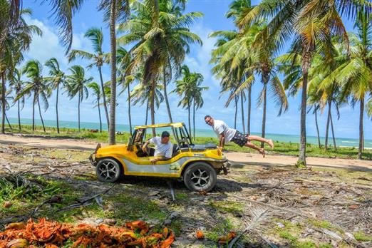 whatsapp image 2025-02-01 at 16.34.20.jpeg