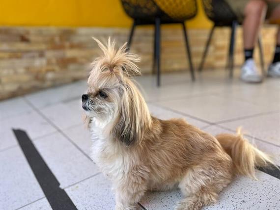 whatsapp image 2025-02-01 at 10.26.42 (2).jpeg