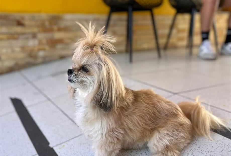 whatsapp image 2025-02-01 at 10.26.42 (2).jpeg