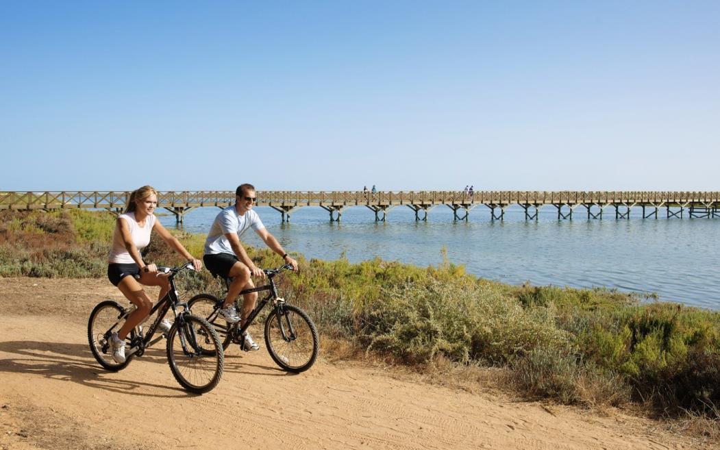 Omnibees RPH Gallery.045.jpeg