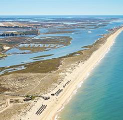 Omnibees RPH Gallery.003.jpeg