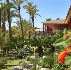 Omnibees RPH Gallery.017.jpeg