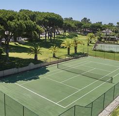 Omnibees RPH Gallery.037.jpeg