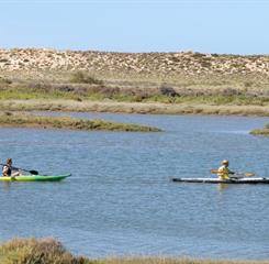 Omnibees RPH Gallery.044.jpeg