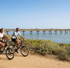 Omnibees RPH Gallery.045.jpeg