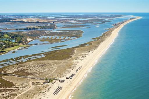 Omnibees RPH Gallery.003.jpeg