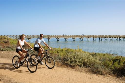 Omnibees RPH Gallery.045.jpeg