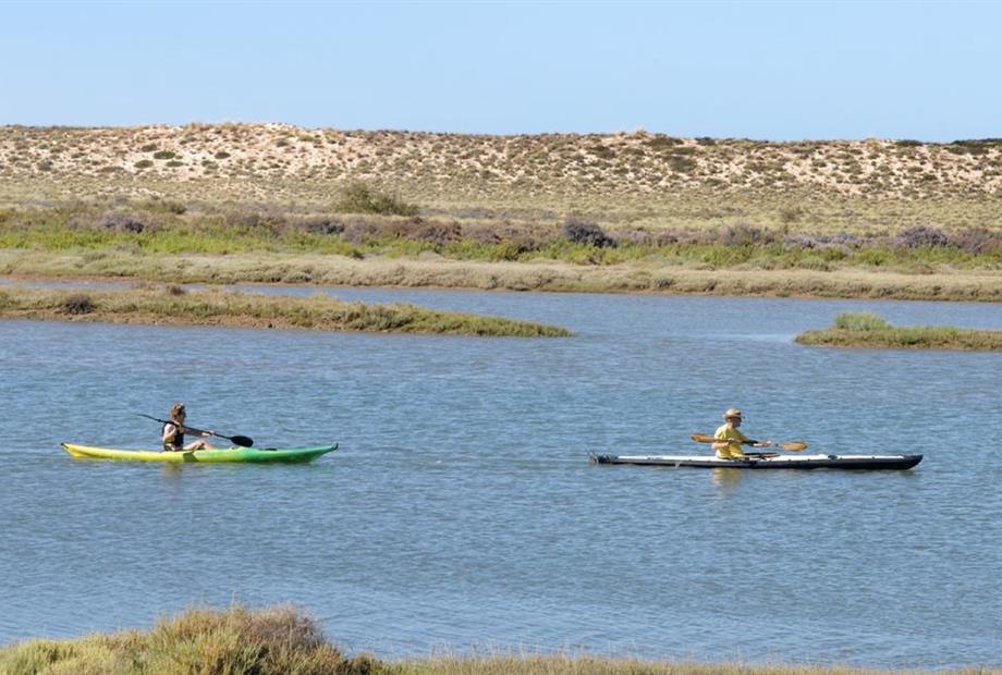 Omnibees RPH Gallery.044.jpeg