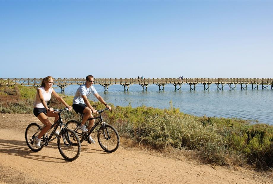 Omnibees RPH Gallery.045.jpeg