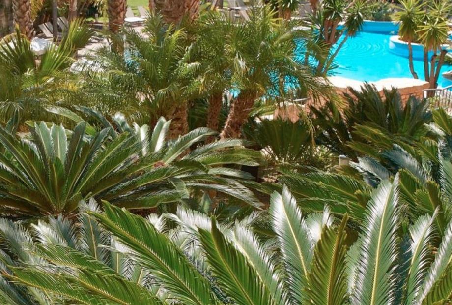 RPH_Premium Room Garden View.024.jpg