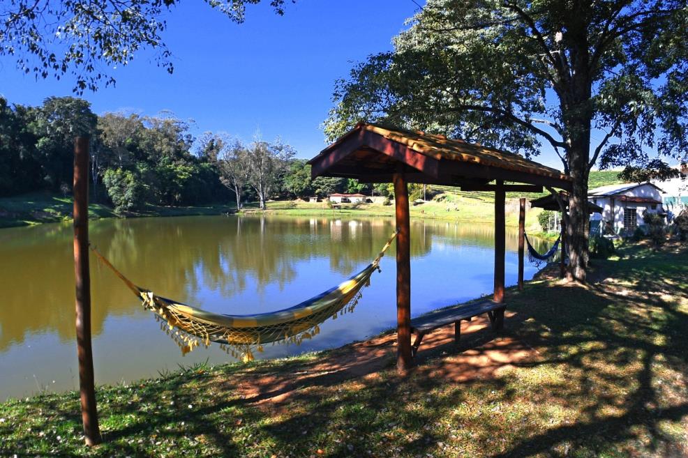 lago r.jpeg